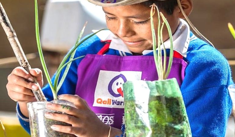 5 JUIN. JOURNÉE MONDIALE DE L’ENVIRONNEMENT